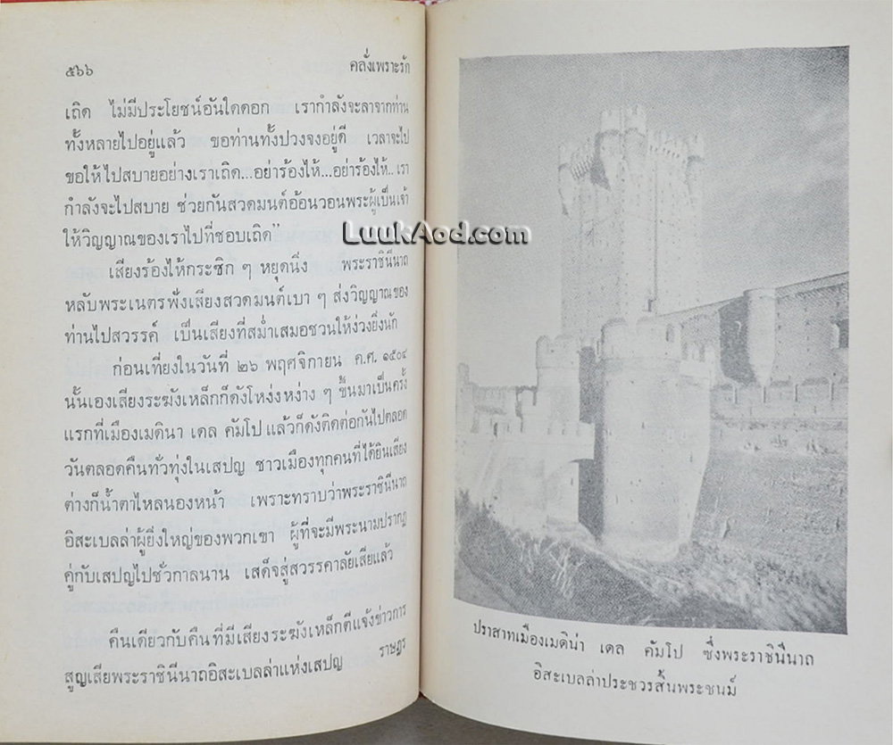 คลั่งเพราะรัก / ว. ณ ประมวญมารค