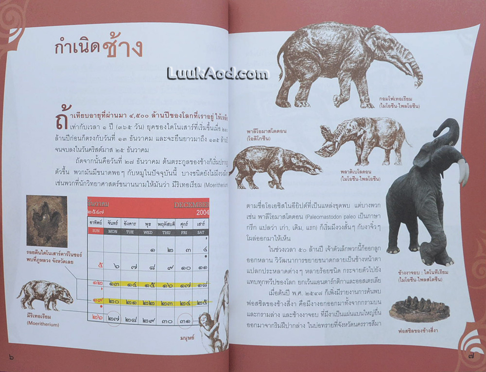 ช ช้าง กับ ฅ ฅน