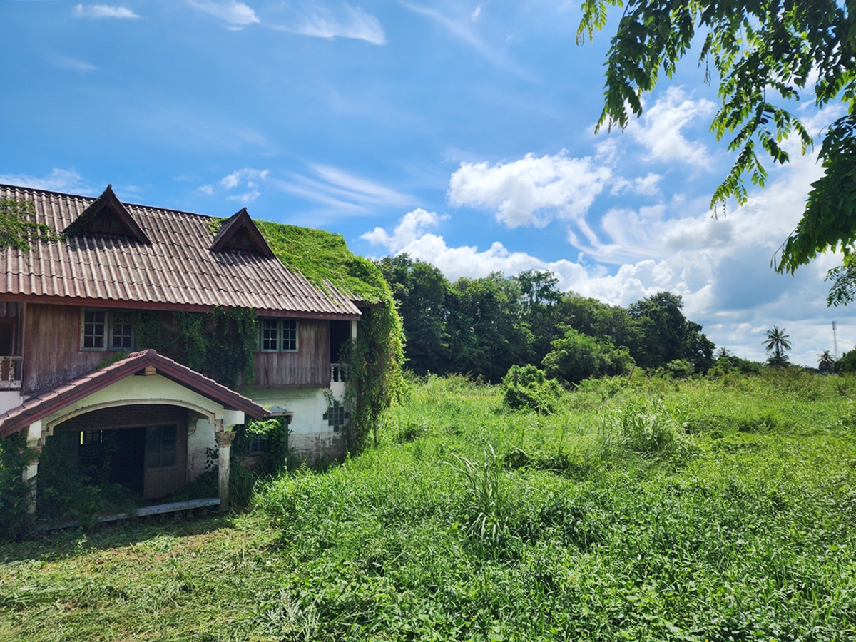 ขาย ที่ดิน 3-1-30 ไร่ ติดแม่น้ำเจ้าพระยา วิวภูเขา อ.เมืองชัยนาท จ.ชัยนาท