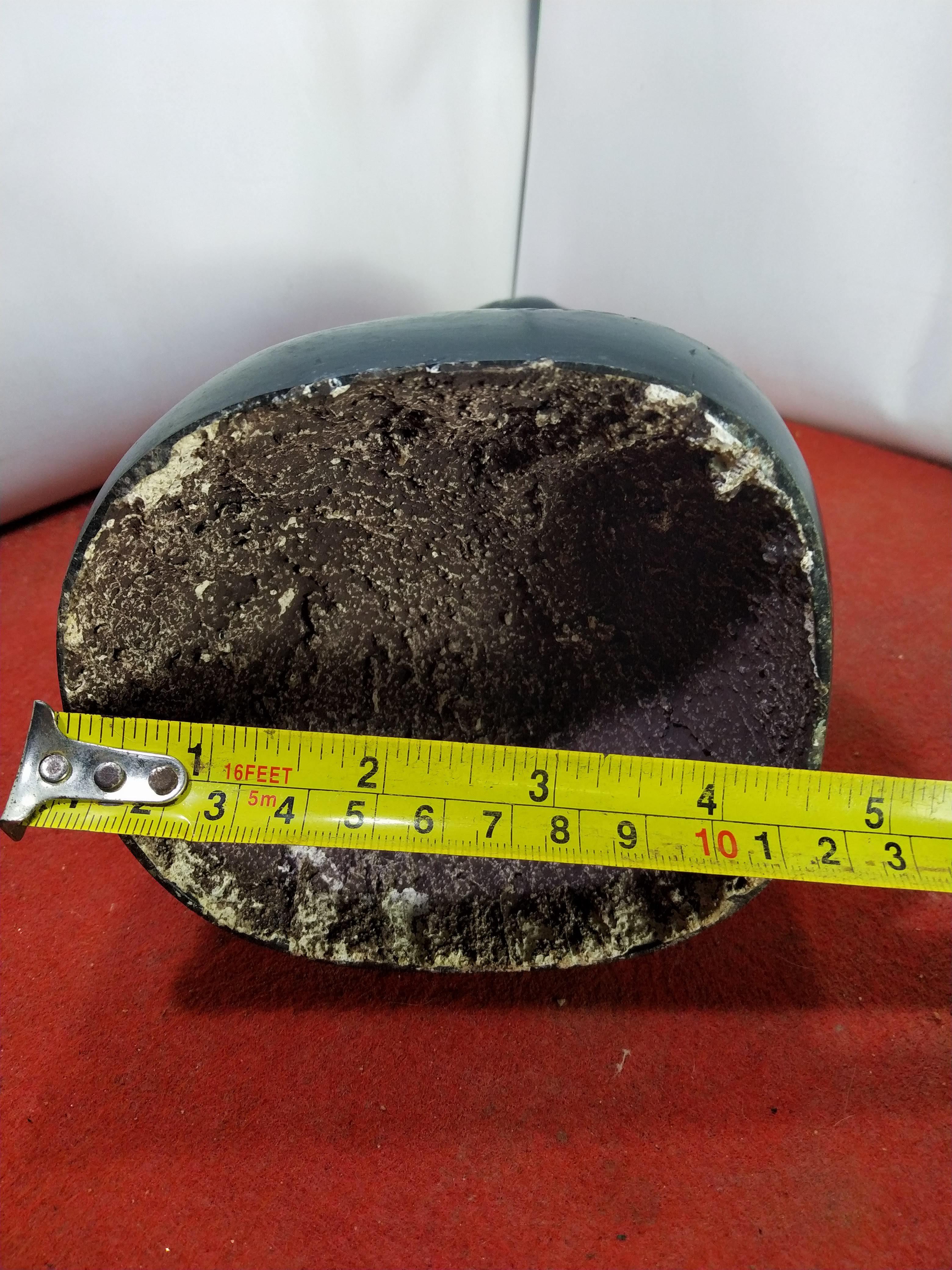 เสือ หลวงพ่อเปิ่น วัดบางพระ เนื้อโลหะสำริด สูง 9 นิ้ว