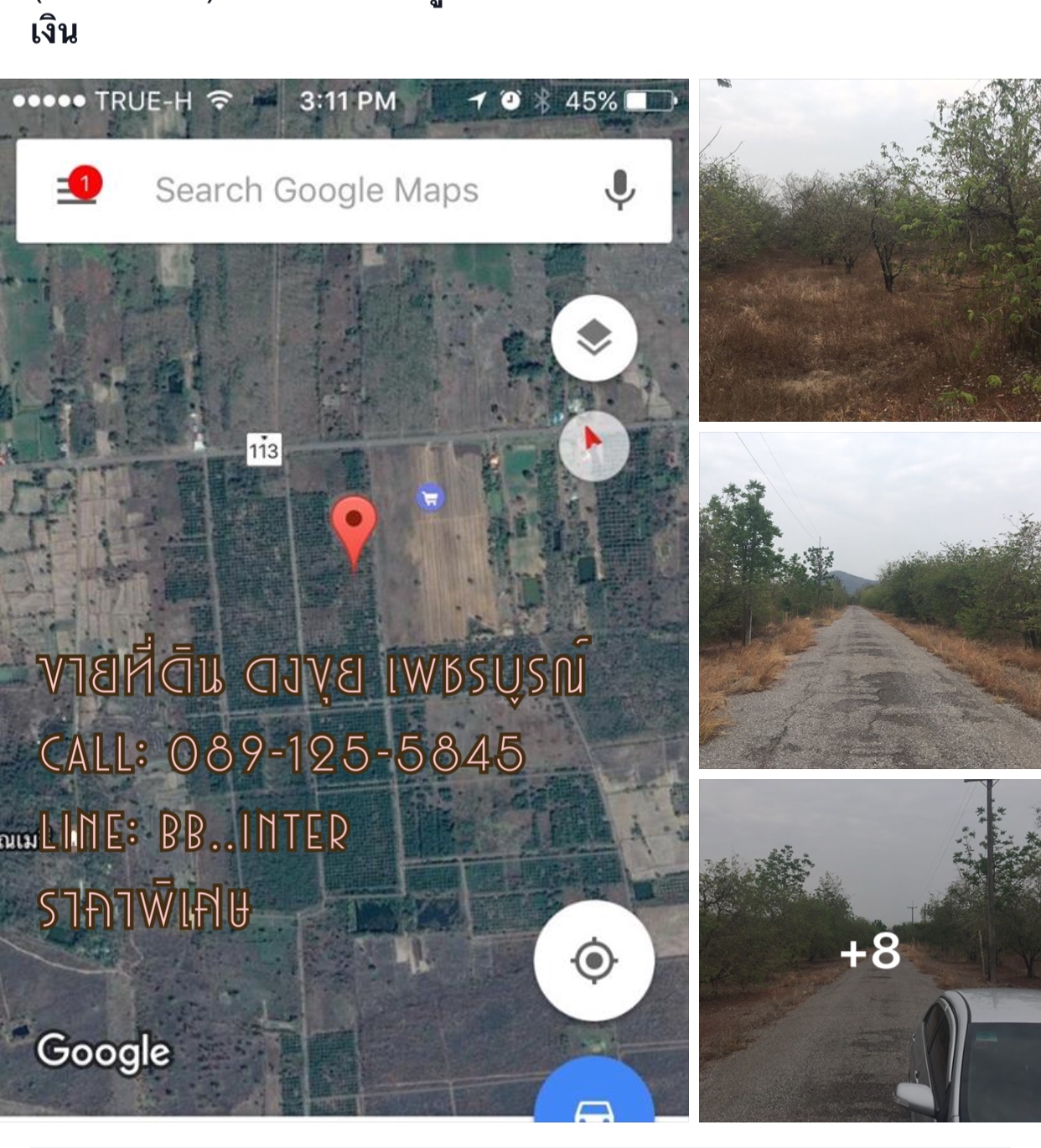 ขายที่ดินดงขุยจังหวัดเพชรบูรณ์