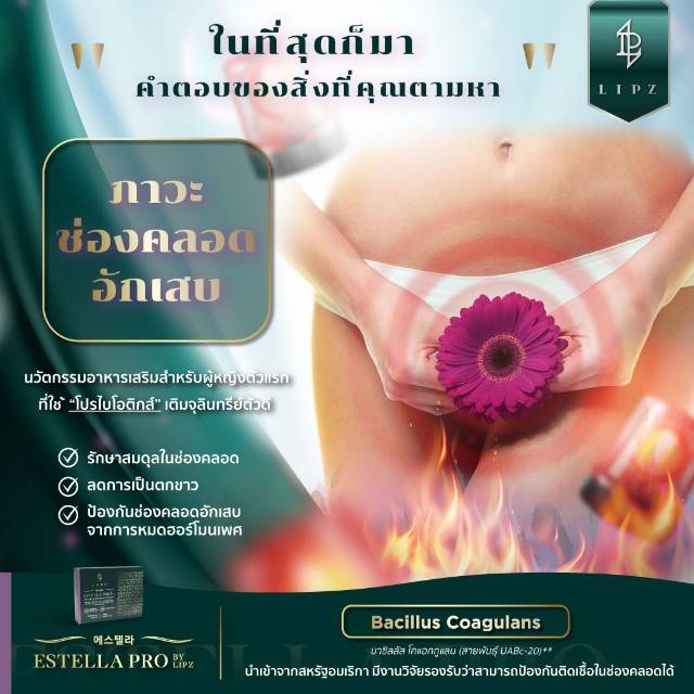 EstellaProรักษาภาวะช่องคลอดอักเสบ