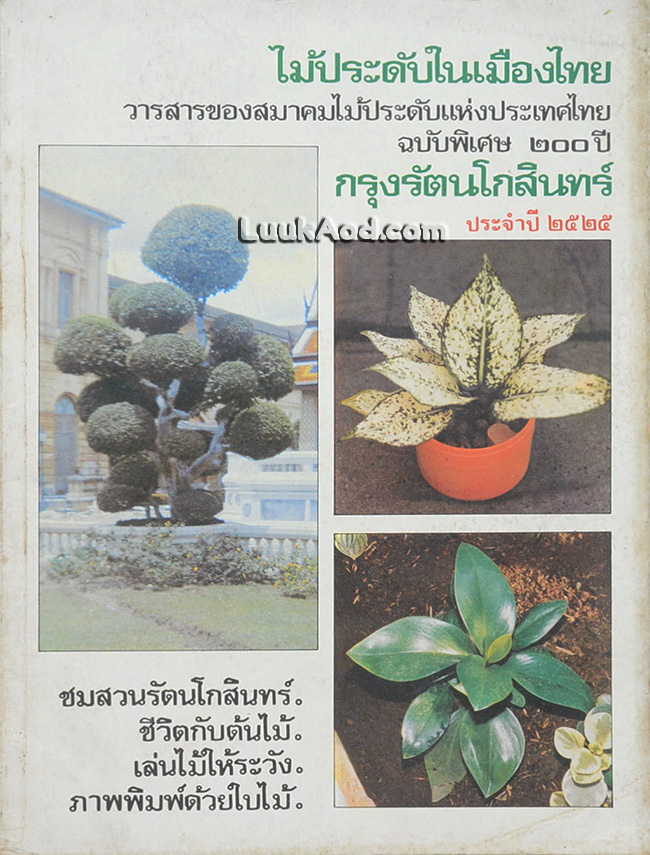 ไม้ประดับในเมืองไทย ประจำปี 2525