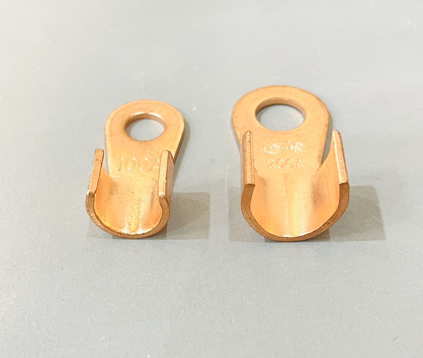 หางปลาทองแดง