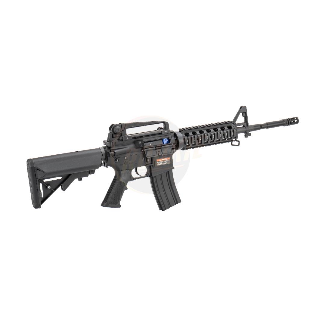 E&C 308 S2 M4 RIS AEG