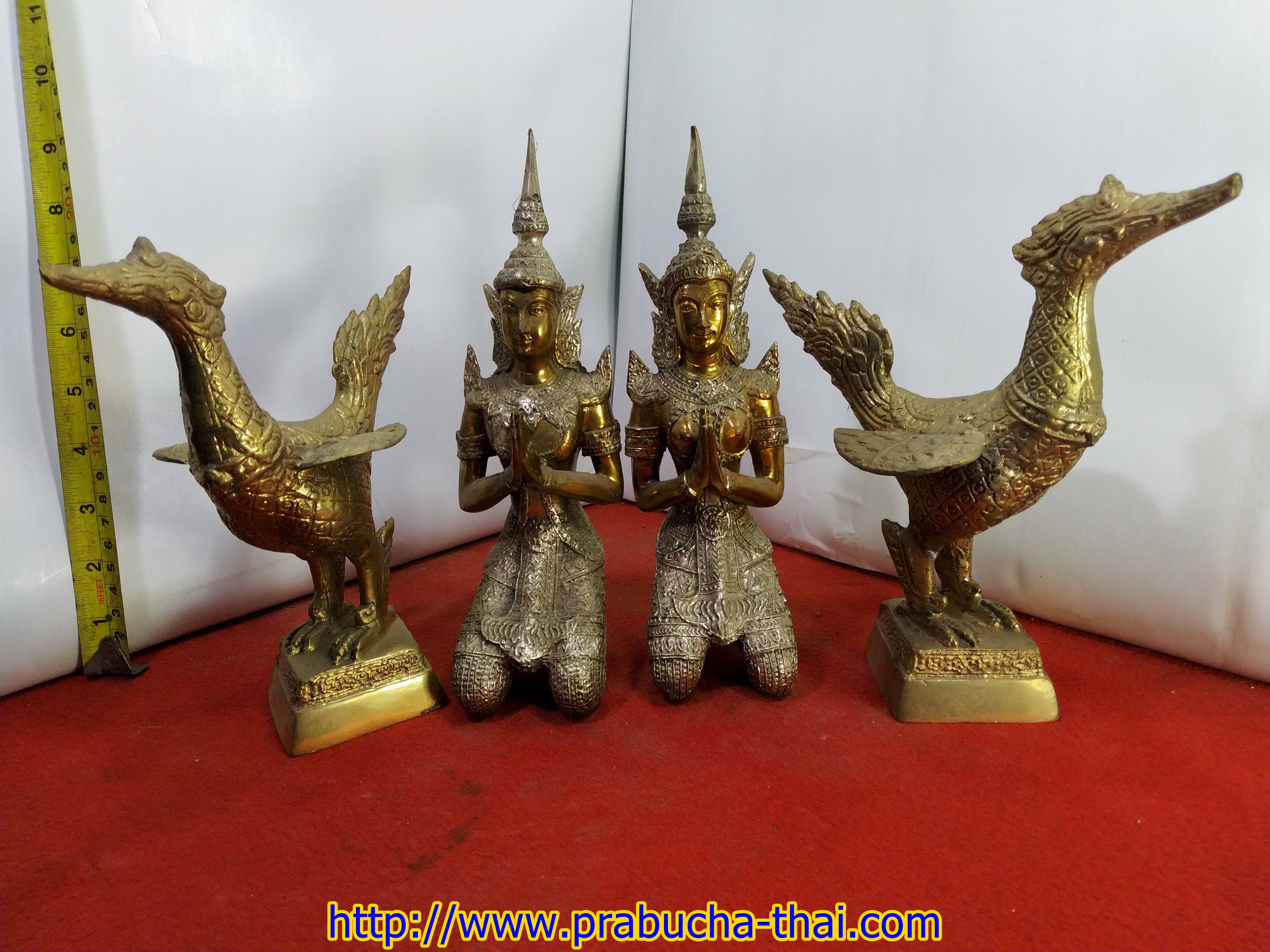 พญาหงส์ทองเหลืองคู่