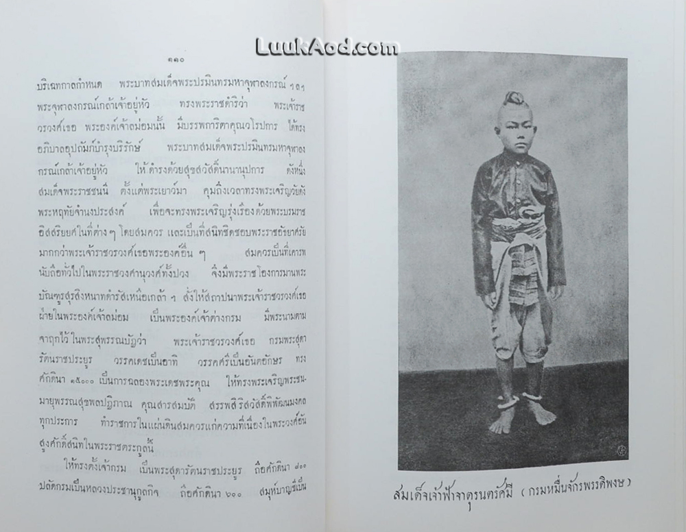 เรื่องเฉลิมพระยศเจ้านาย (2 เล่มจบ)