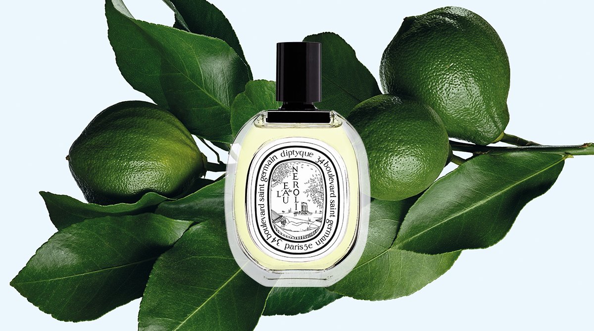 ดิปทีค เนโรลี (Type)