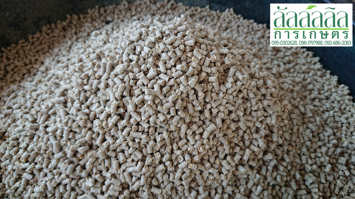 เครื่องอัดเม็ด รุ่น V.3