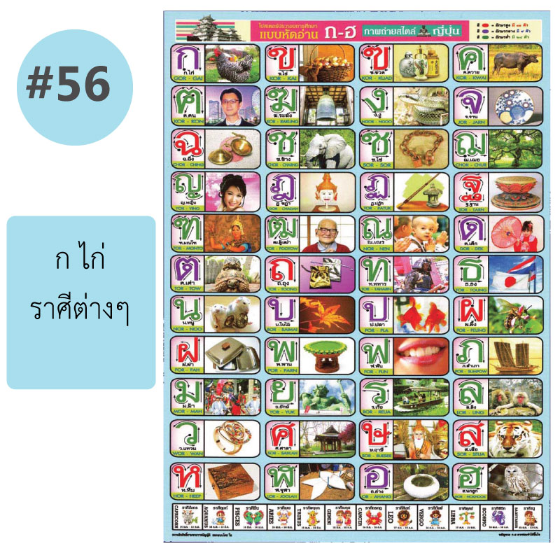 โปสเตอร์เพื่อการศึกษา ขายส่ง nongnini1988