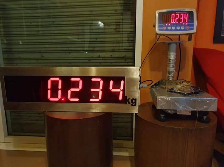 เครื่องชั่งดิจิตอล เครื่องชั่งตั้งโต๊ะขนาด 25x25cm พร้อมจอแยกขนาด 5 นิ้ว