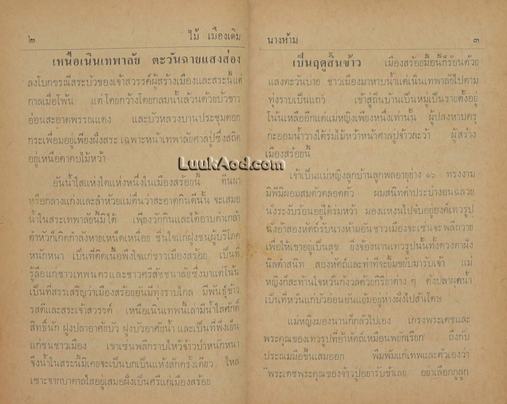 นางห้าม (เล่มเดียวจบ) / ไม้เมืองเดิม