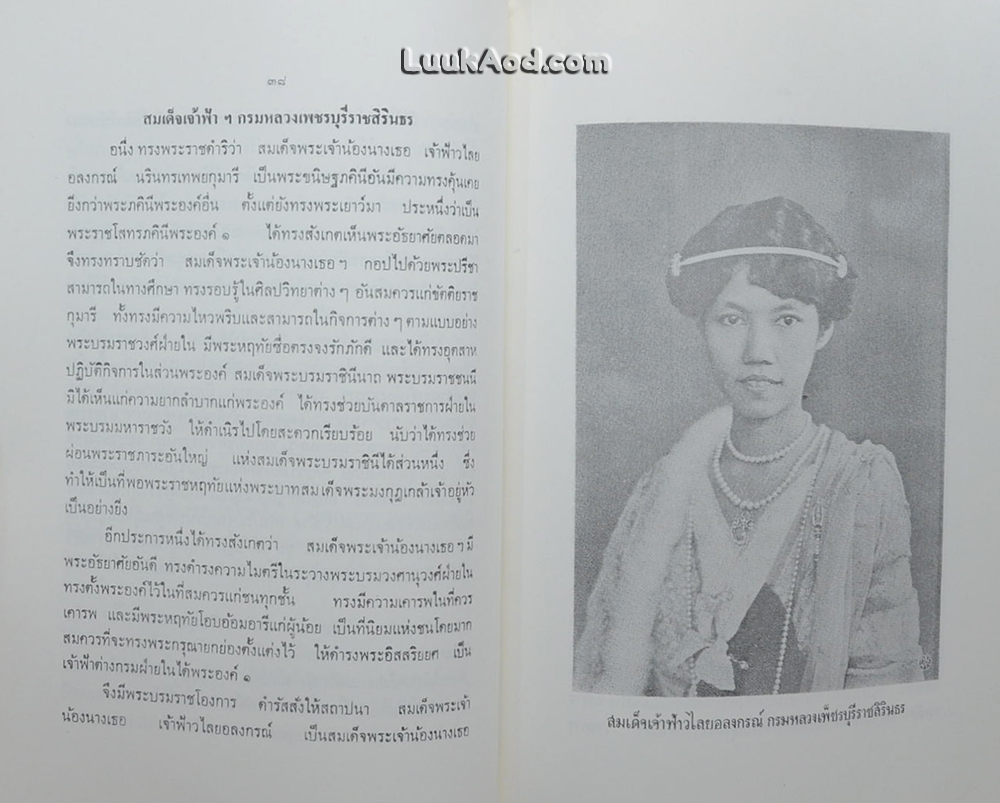 เรื่องเฉลิมพระยศเจ้านาย (2 เล่มจบ)