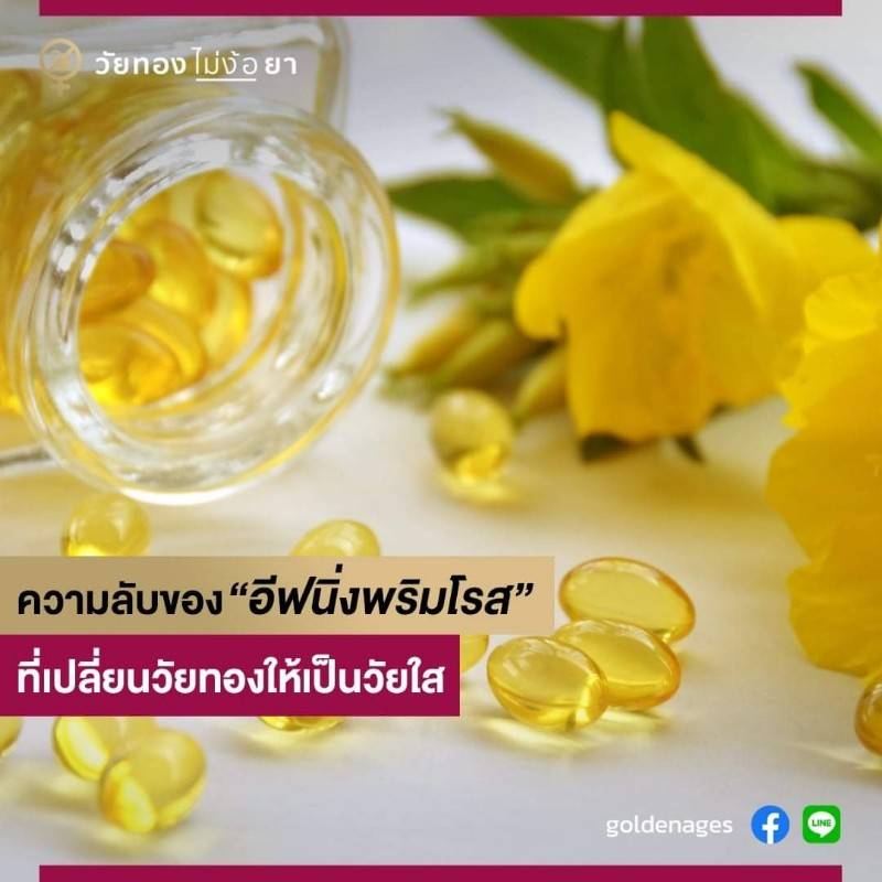 EstellaProใส่อีฟนิ่งพริมโรสออยล์