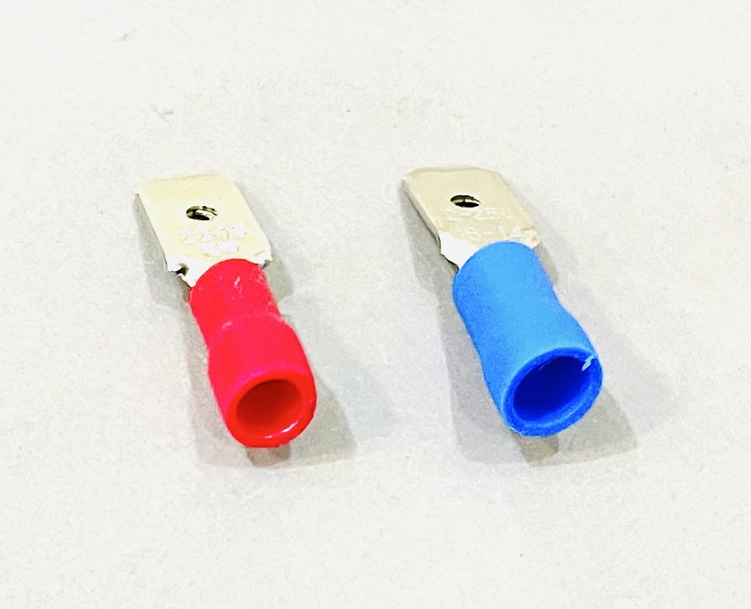 หางปลาเสียบ ตัวผู้