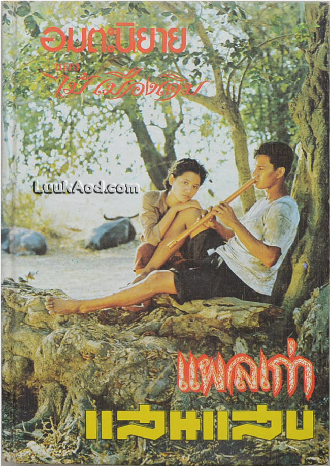 อมตะนิยาย ของ ไม้ เมืองเดิม เรื่อง แผลเก่า และ แสนแสบ (เล่มเดียวจบ)