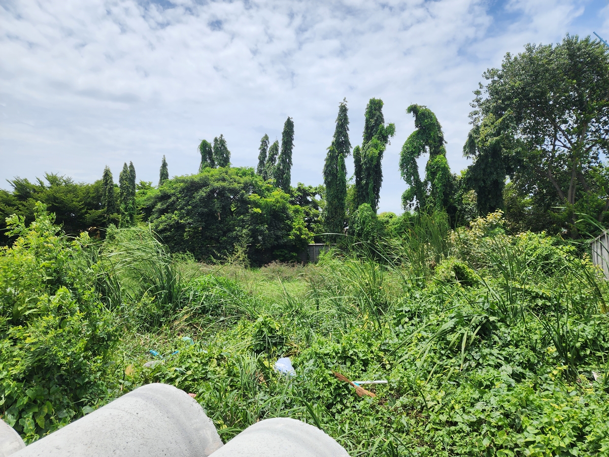 ขาย ที่ดินเปล่า ถมแล้ว 200 ตร.ว. ถ.บางบัวทอง-สุพรรณบุรี (สาย 340)