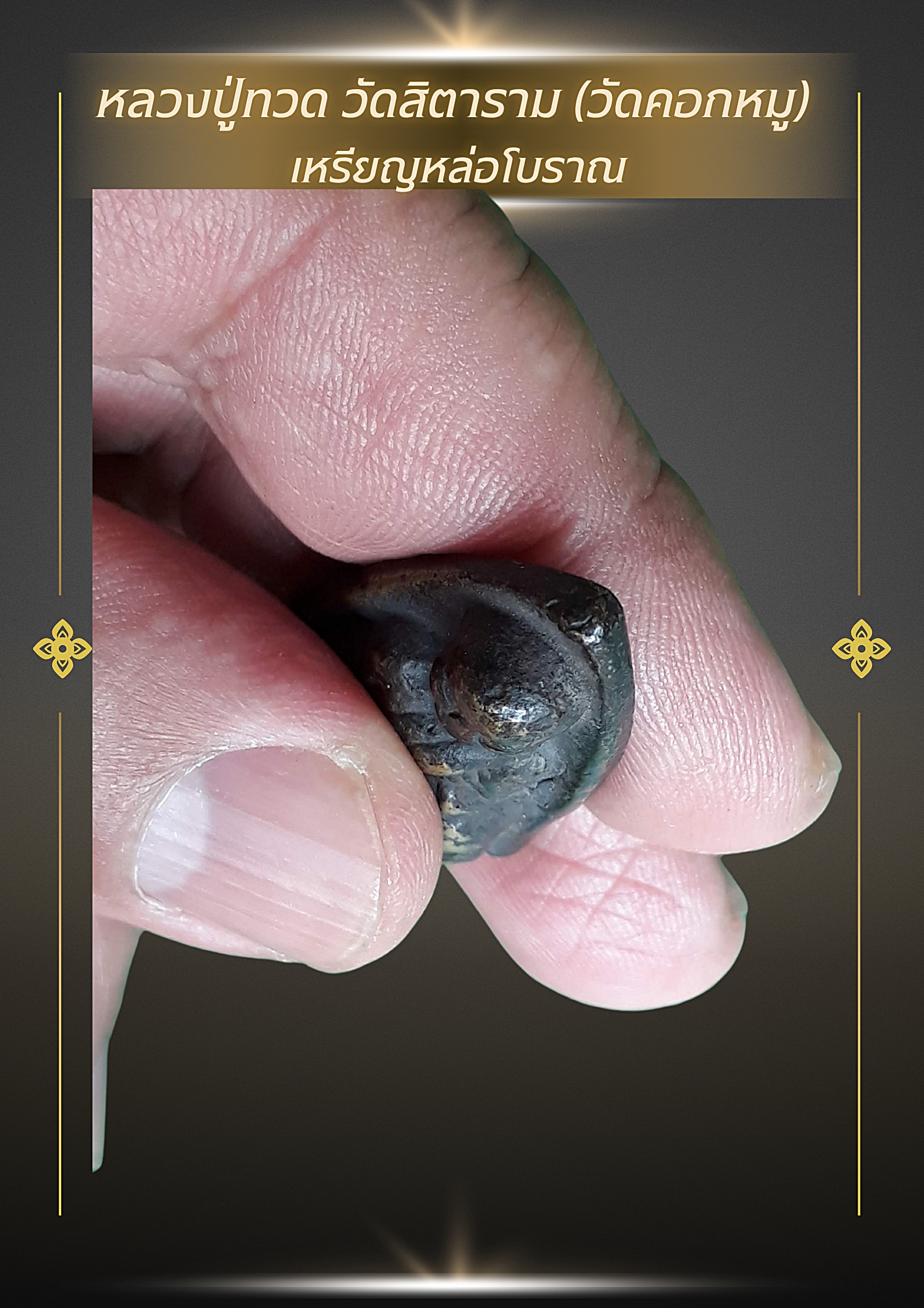 ✨ หลวงปู่ทวด วัดสิตาราม (วัดคอกหมู)พร้อม “โค้ตรูปหมู” ด้านหลังครบ 9 ตัว