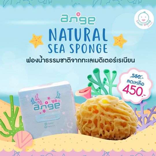 ฟองน้ำทะเลธรรมชาติจากทะเลเมดิเตอร์เรเนียน