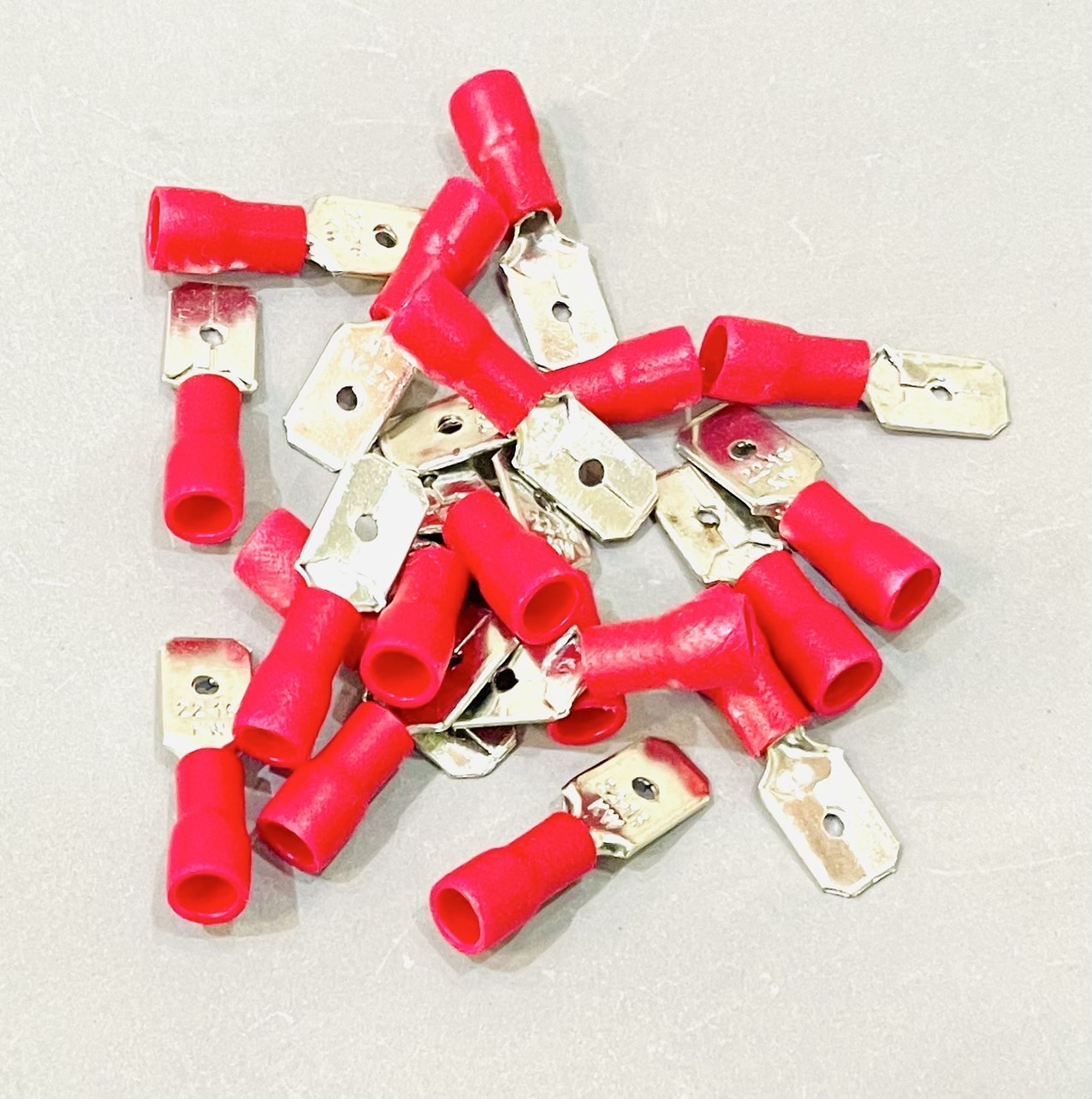 หางปลาเสียบ ตัวผู้