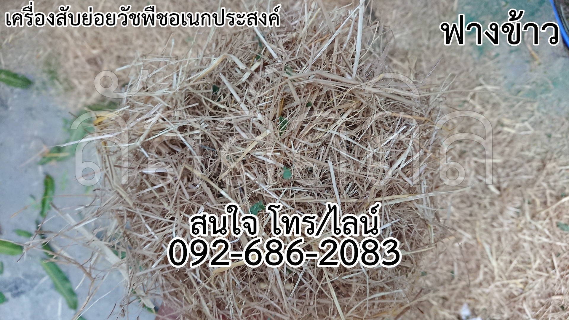 เครื่องย่อยใบไม้และวัชพืช