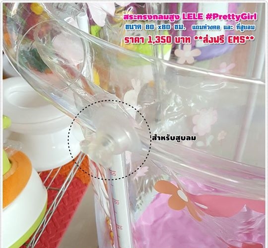 LELE สระน้ำทรงกลมสูง (แบบใส) สีชมพูลาย Pretty Girl