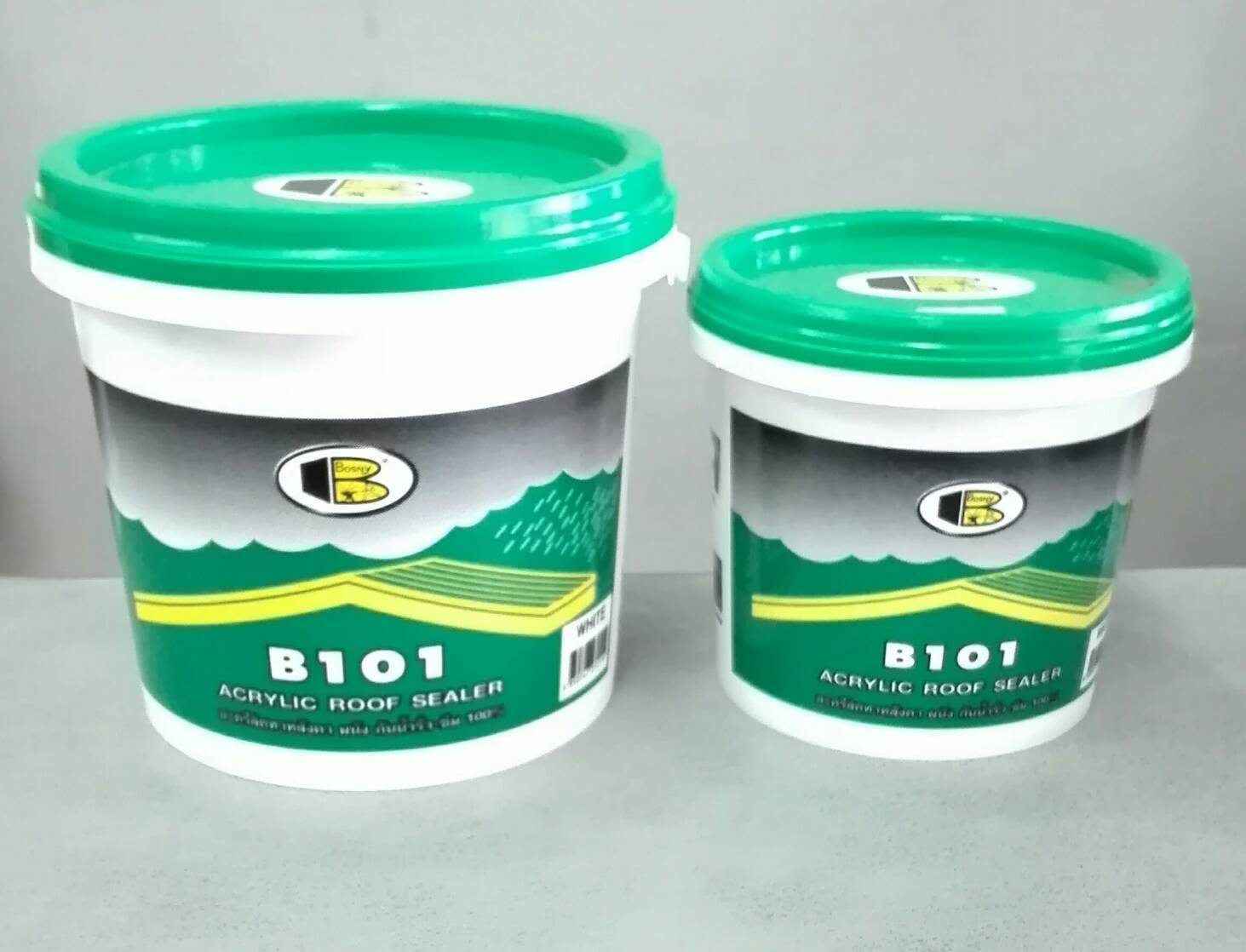 รูฟซิลเลอร์ B101 บอสนี่