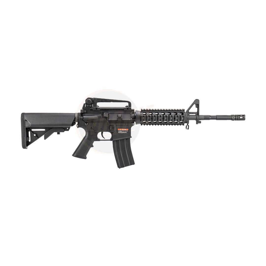 E&C 308 S2 M4 RIS AEG