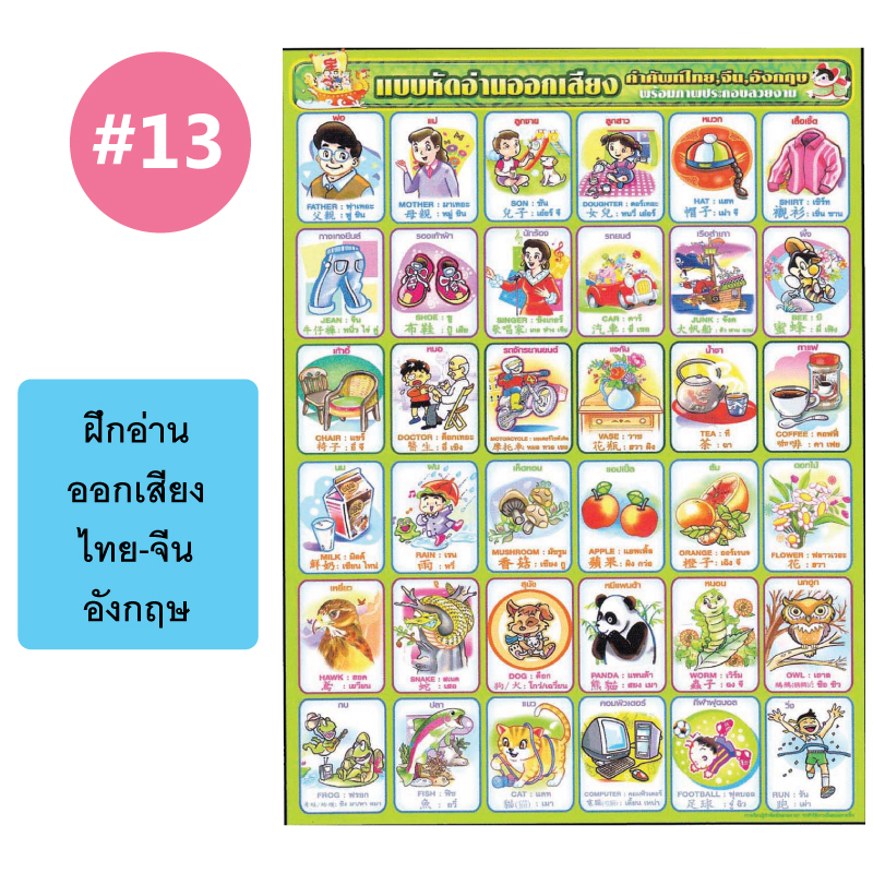 โปสเตอร์เพื่อการศึกษา ขายส่ง nongnini1988