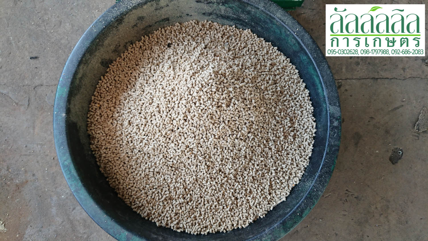 เครื่องอัดเม็ด รุ่น V.3