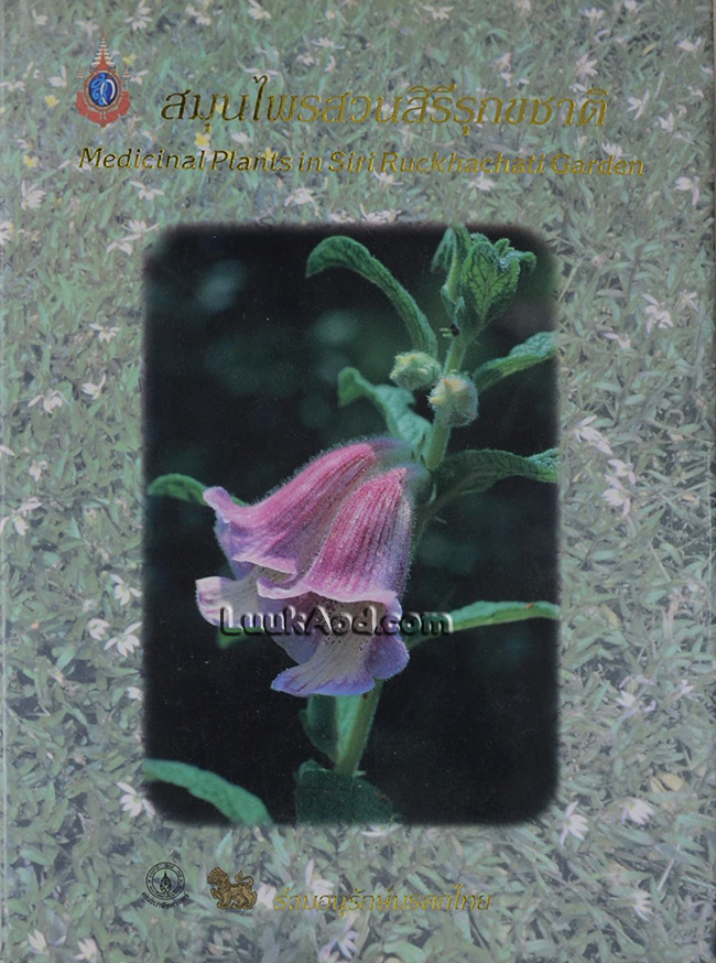 สมุนไพรสวนสิรีรุกขชาติ – Medicinal Plants in Siri Ruckhachati Garden