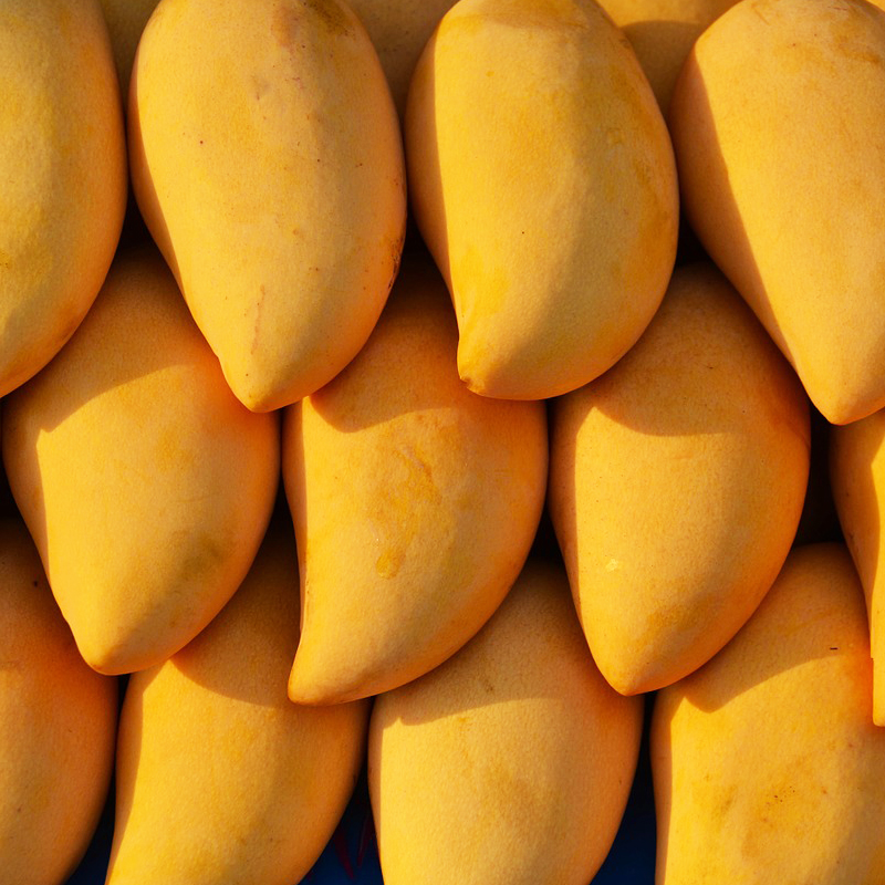 มะม่วงอบแห้ง(ไม่ใส่น้ำตาล) บำรุงผิวพรรณสดใส ผลไม้อบแห้ง น้ำหนัก 200 กรัม(แพ็ค 5 ถุง)