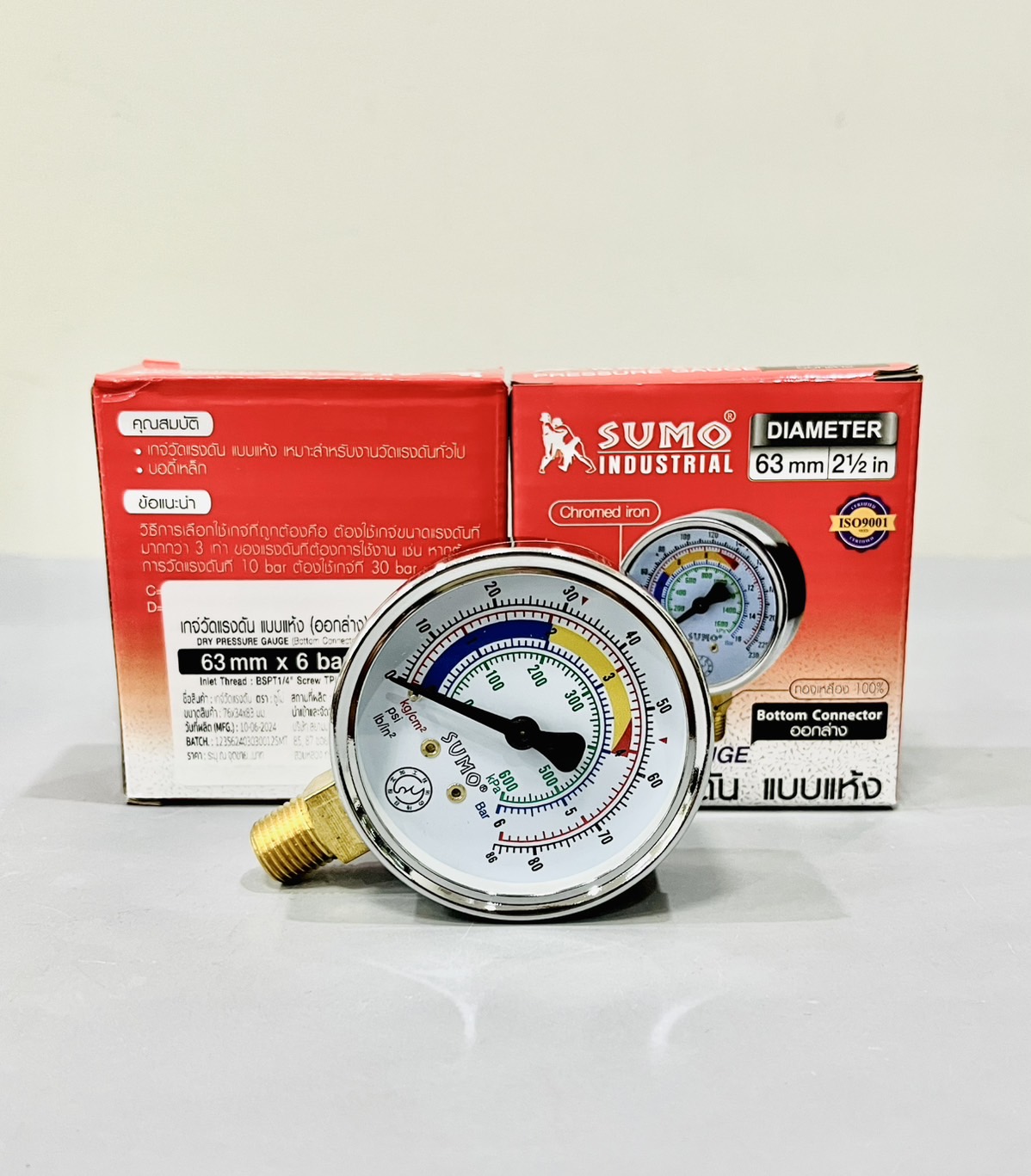 เกจวัดแรงดัน แบบแห้ง ออกล่าง