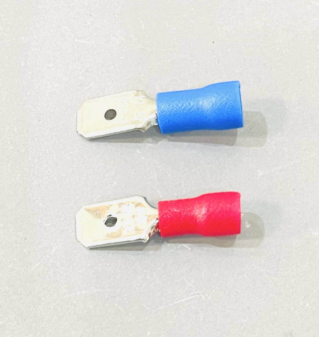 หางปลาเสียบ ตัวผู้