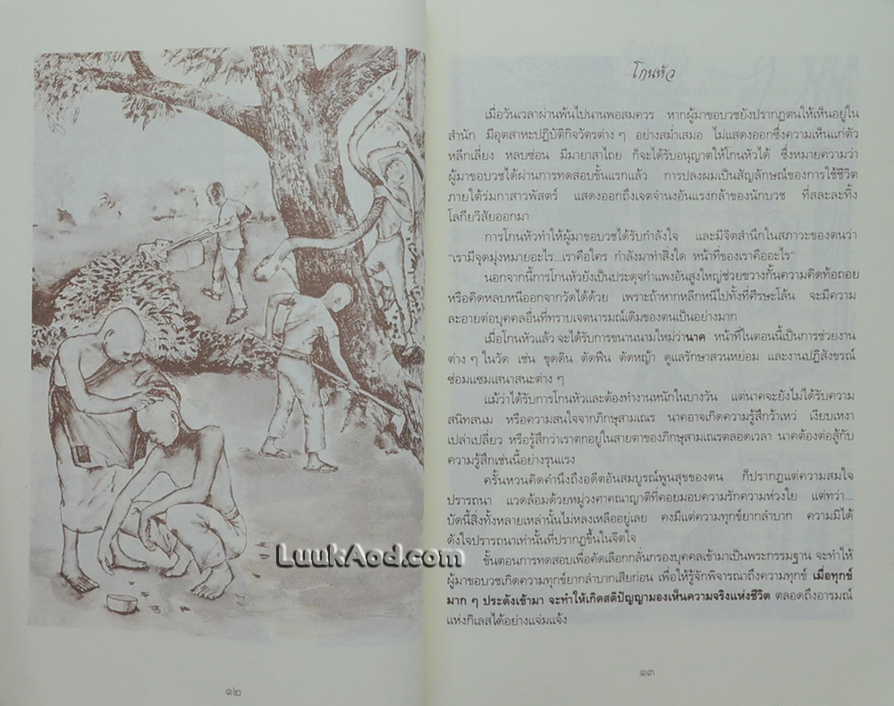 ตามรอยพระโพธิญาณ ชีวิตพระกรรมฐานใน “ป่าพง” มรดกธรรมเล่มที่ 7