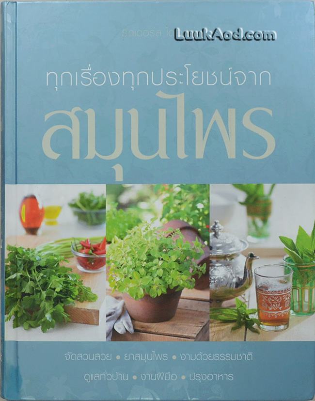 ทุกเรื่องทุกประโยชน์จาก สมุนไพร