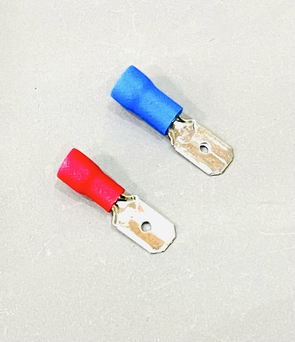 หางปลาเสียบ ตัวผู้