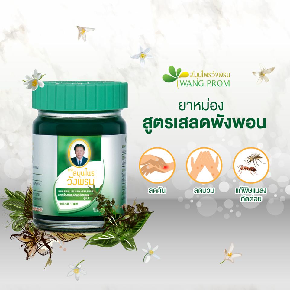 ยาหม่องวังพรม เสลดพังพอน 50 กรัม (สีเขียว)