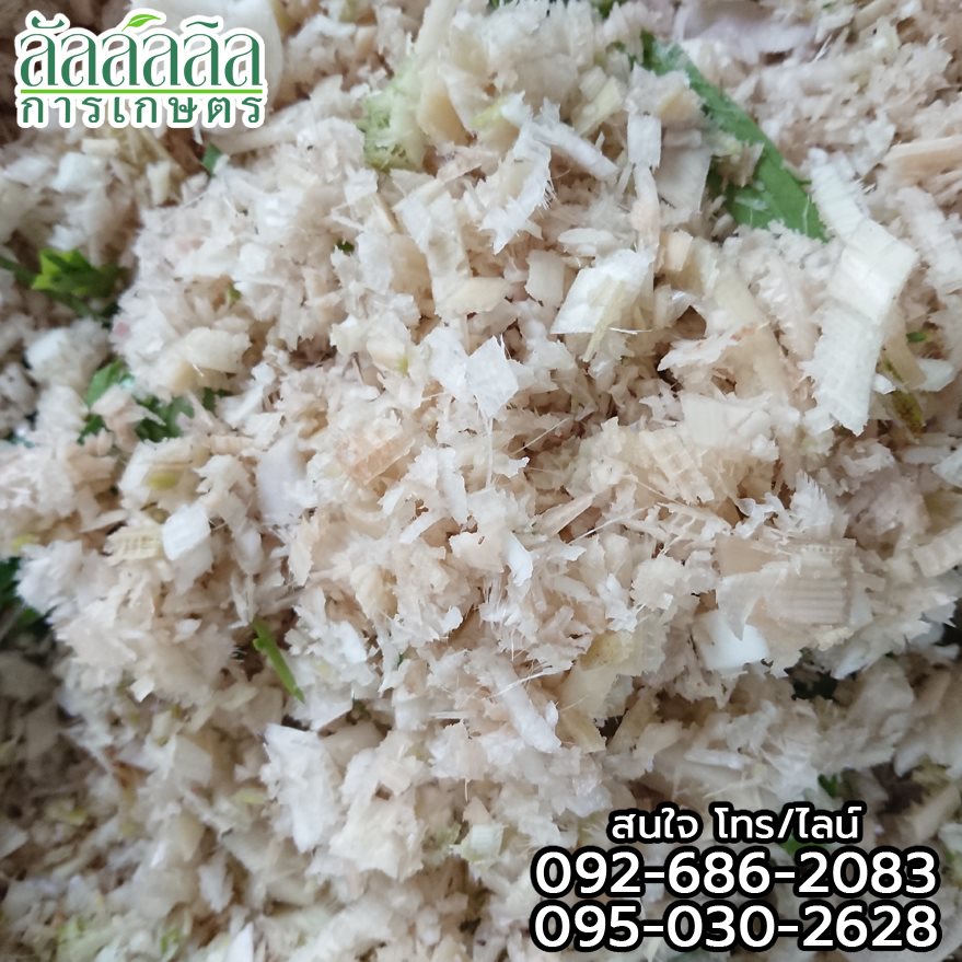 เครื่องสับต้นกล้วย หยวกกล้วย