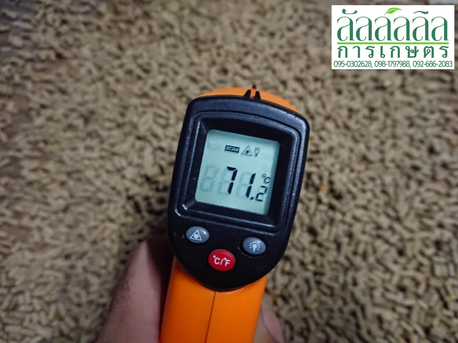 เครื่องอัดเม็ด รุ่น V.1 ไม่มีมอเตอร์ (เครื่องเปล่า)