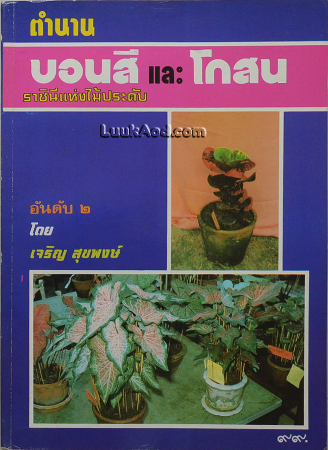 ตำนานบอนสี และโกสน ราชินีแห่งไม้ประดับ