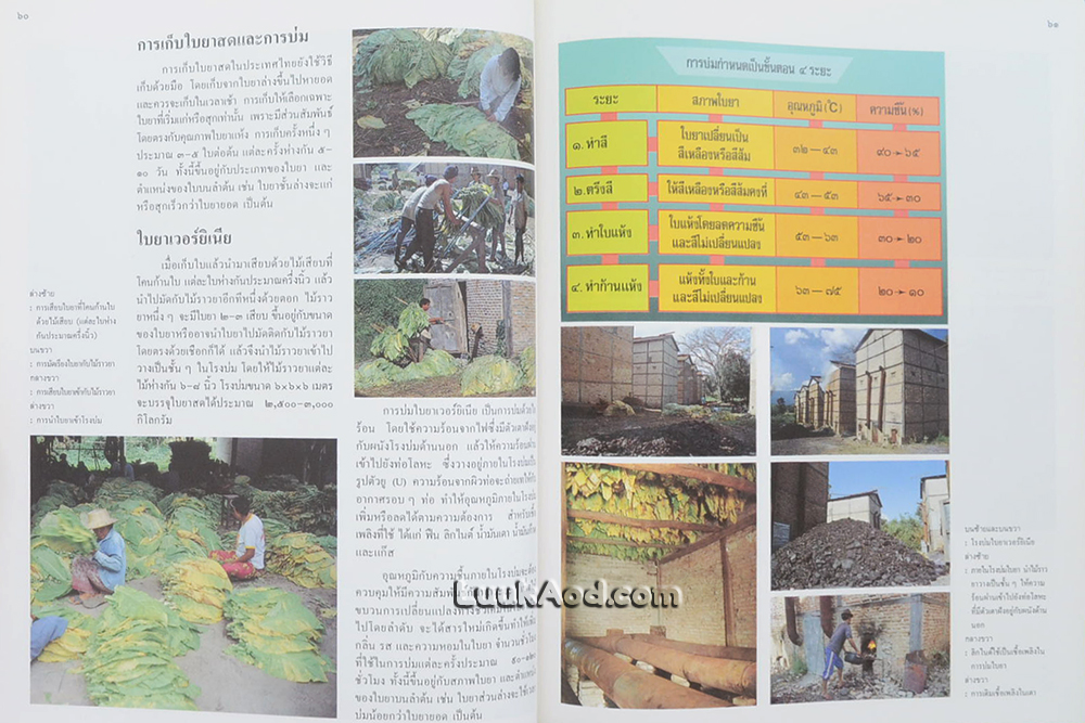 สารานุกรมไทยสำหรับเยาวชน เล่ม 15 *ใบหุ้มปกมีตราประทับ*