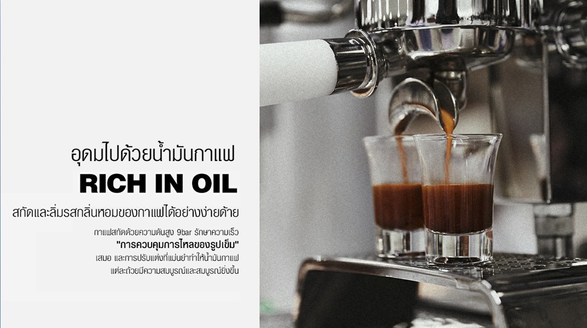 LADETINA LEGEND เครื่องชง 2 หัว หัวชง E61 หม้อต้ม 12 ลิตร