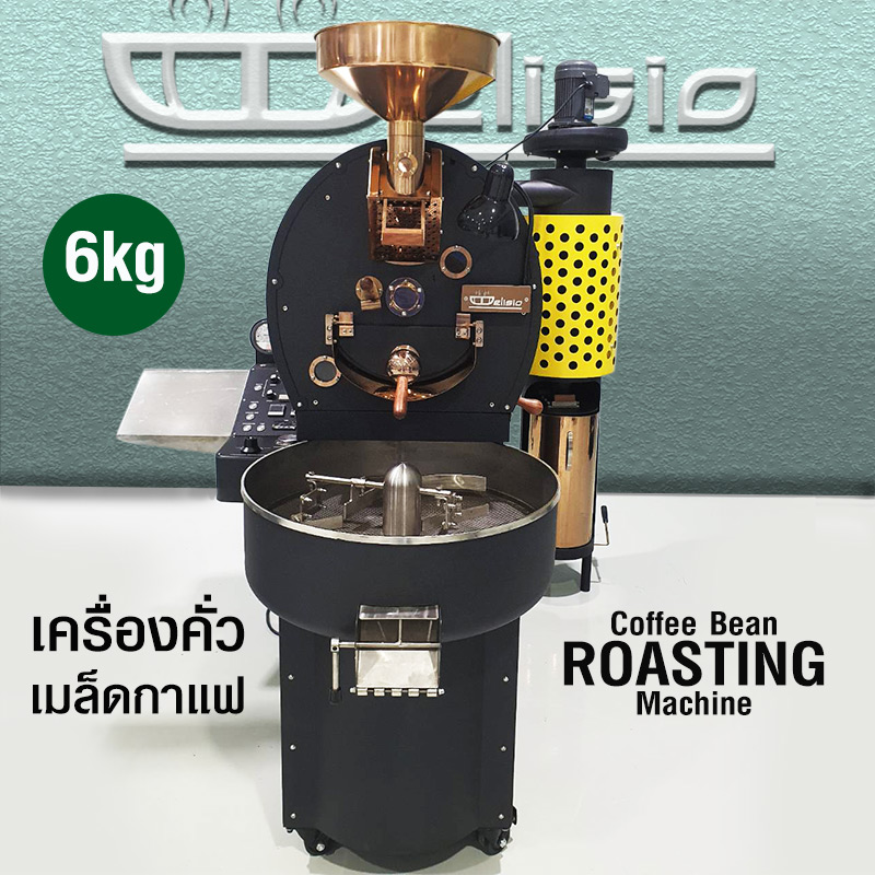 DELISIO Commercial coffee roaster machine 6 kg