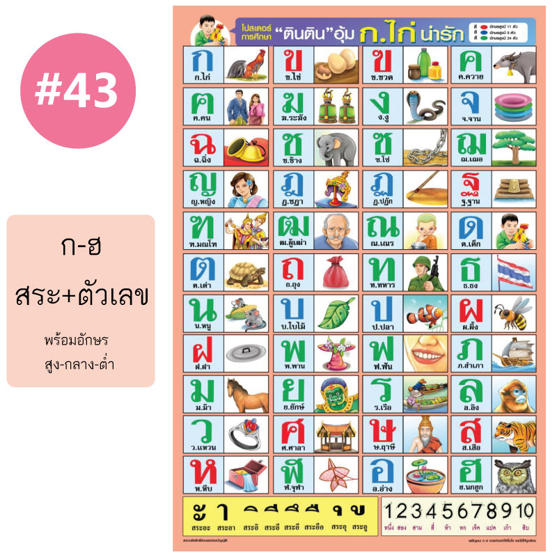 โปสเตอร์เพื่อการศึกษา ขายส่ง nongnini1988