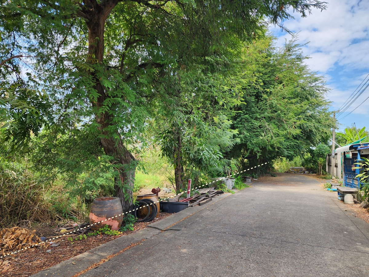 ขาย ที่ดินเปล่า 212 ตร.ว. ซอยธรรมสุธีร์ 19 อ.เมืองปทุมธานี จ.ปทุมธานี