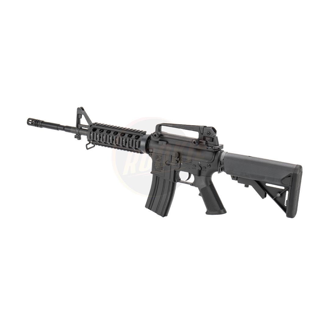 E&C 308 S2 M4 RIS AEG