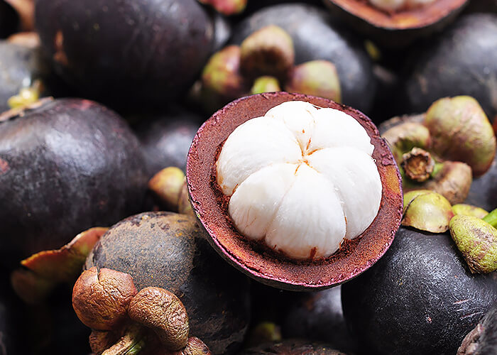 มังคุด มังคุดราชินีผลไม้ไทย(MANGOSTEEN)