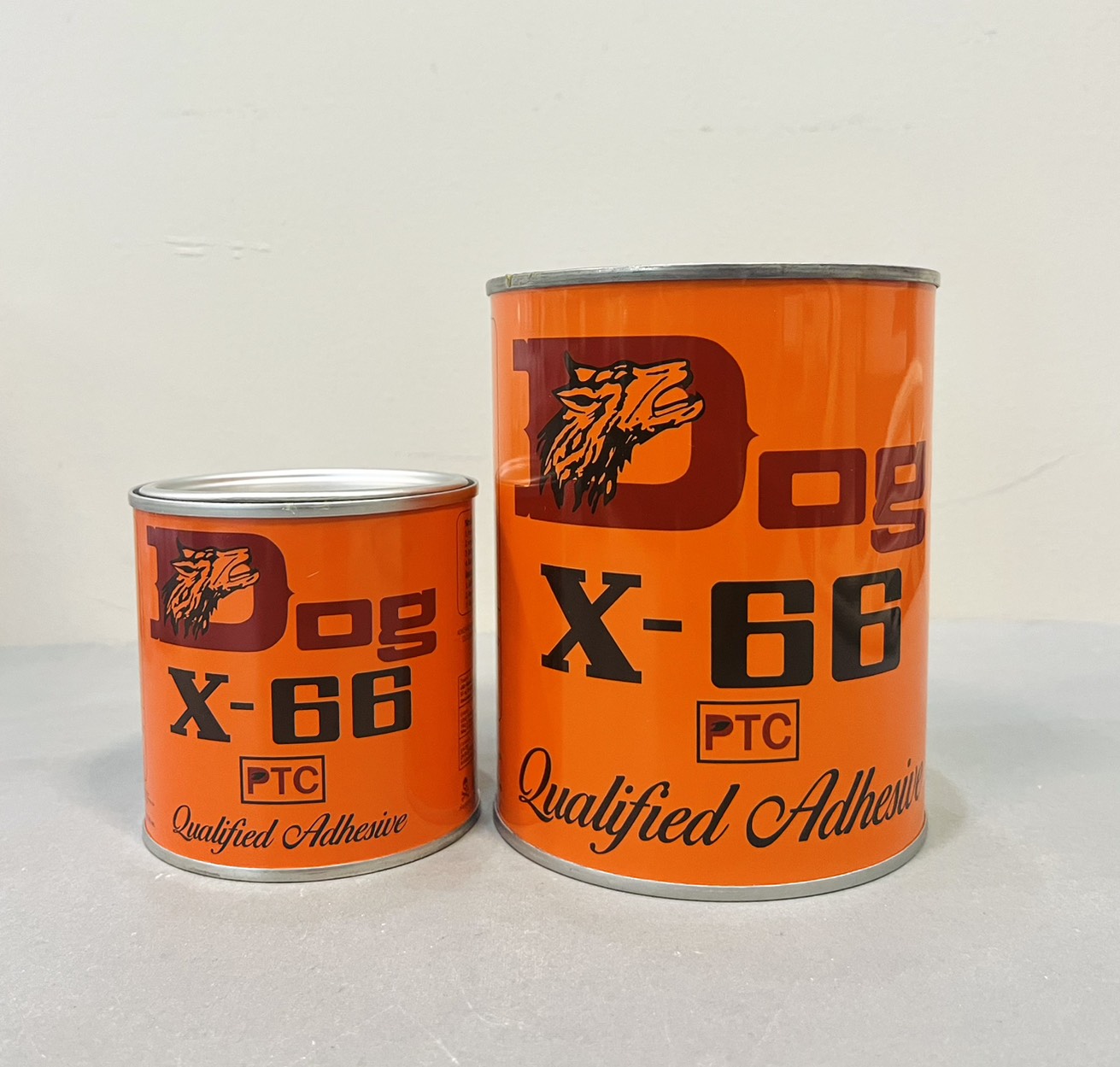 กาวยาง หมา