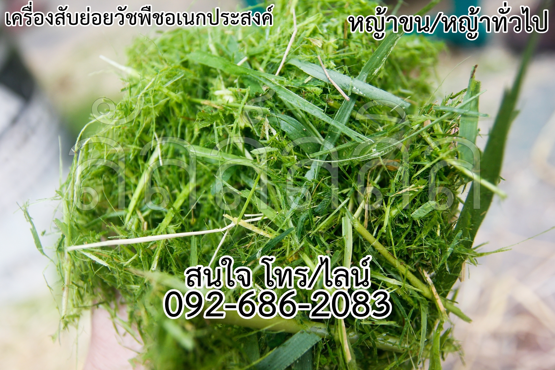 เครื่องย่อยใบไม้และวัชพืช